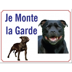STAFFIE
