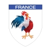 Écusson blason FRANCE