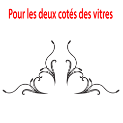 kit décor vitres Latérales camion roseau