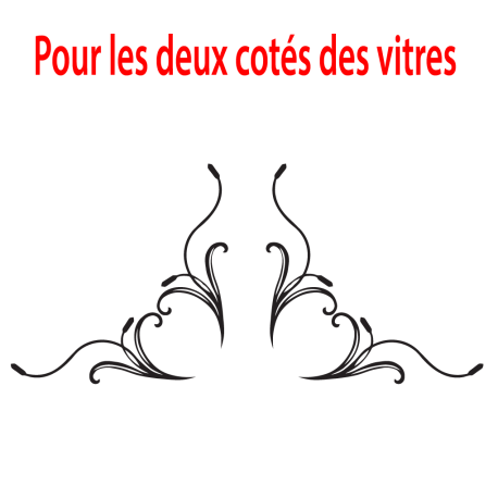 kit décor vitres Latérales camion roseau