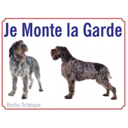  Barbu Tchèque 