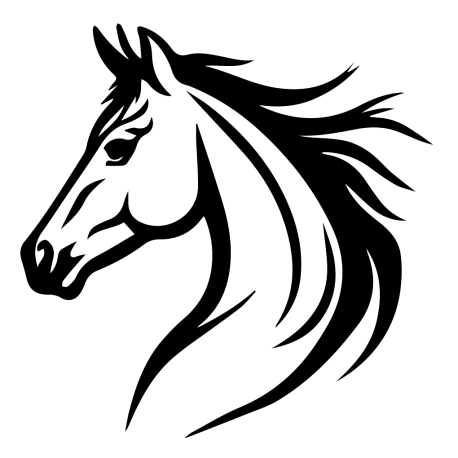 Tête de cheval 
