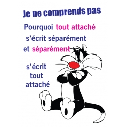 Affiche grois minet je ne comprend pas 