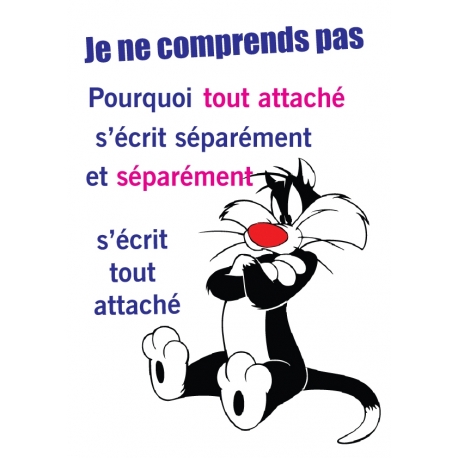 Affiche grois minet je ne comprend pas 