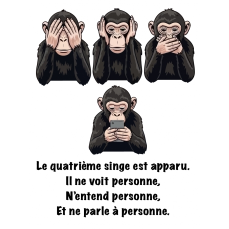Affiche 3 singes de la sagesse