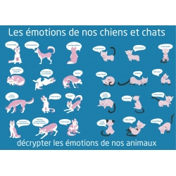 Les émotions de nos chiens et chats