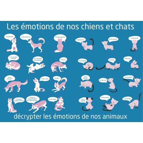 Les émotions de nos chiens et chats