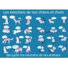 Les émotions de nos chiens et chats